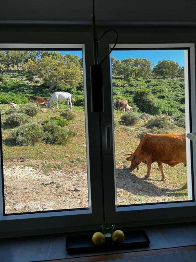 Cortijo Las Cabrerizas ファシナス エクステリア 写真